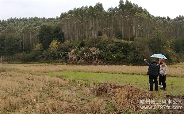 湛江市陈老师带着爱徒寻龙点穴